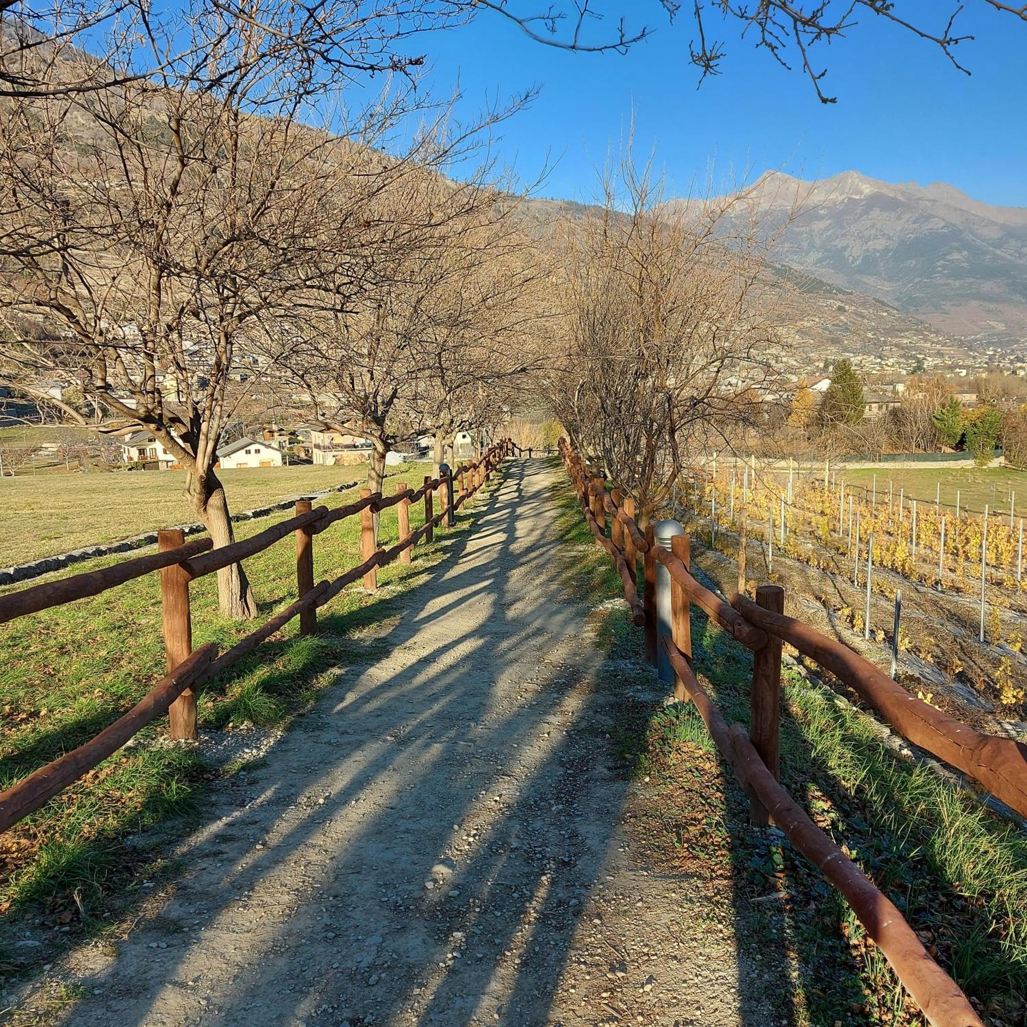 La Taverna Alloggio Ad Uso Turistico - Vda -Sarre - Cir- 0073 Аоста Екстер'єр фото